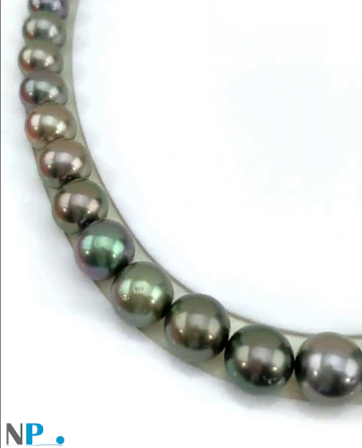 Collier de perles de Tahiti