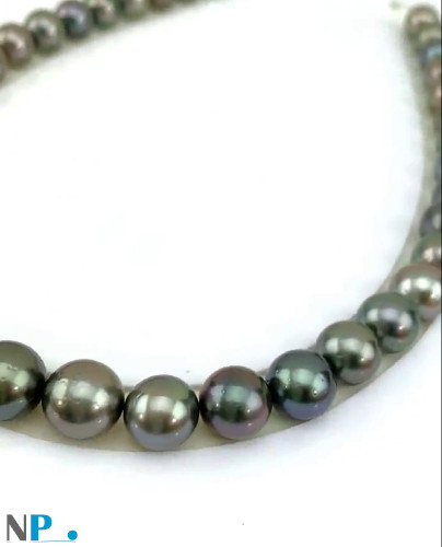 Collier de perles de Tahiti