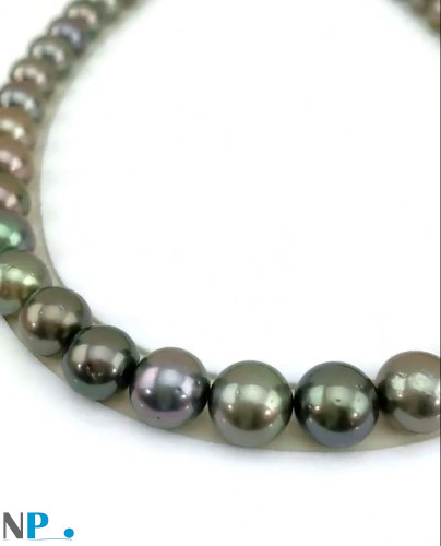 Collier de perles de Tahiti