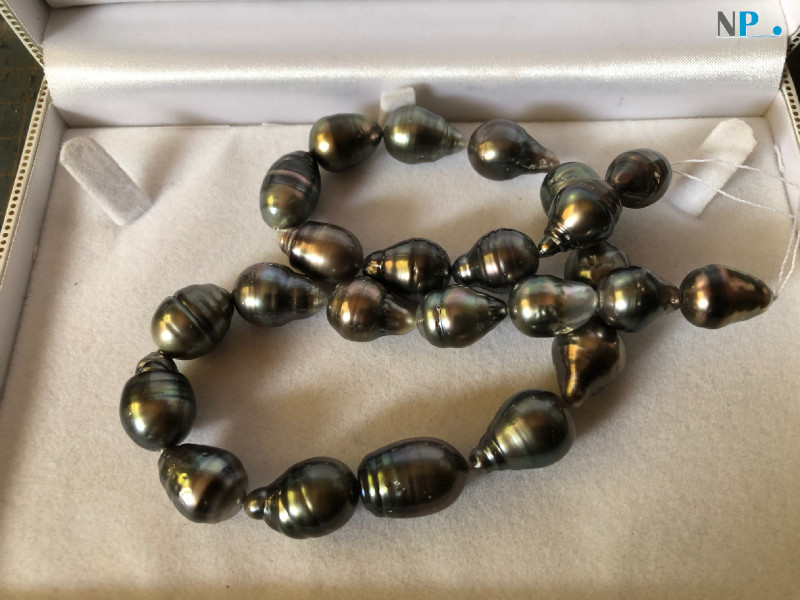 Rang de perles noires de Tahiti baroques 
