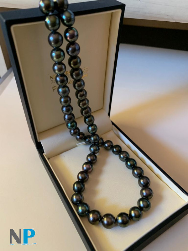 Collier de perles noires de Tahti pratiquement rondes, belle brillance