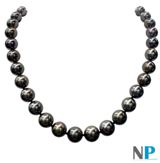 Collier de perles noires de tahiti, bien rondes qualité AA/AA+ de 10 à 11,5 mm