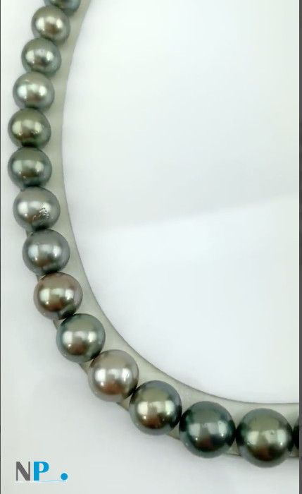 Collana di perle nere di Tahiti rotonde, molto brillanti, eccezionale diametro 10-12 mm, qualità AA