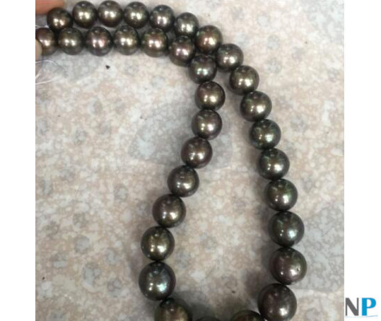 Collana di perle nere di Tahiti grigio scuro