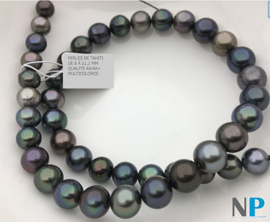 collier de vraies perles noires de tahiti , couleurs variées