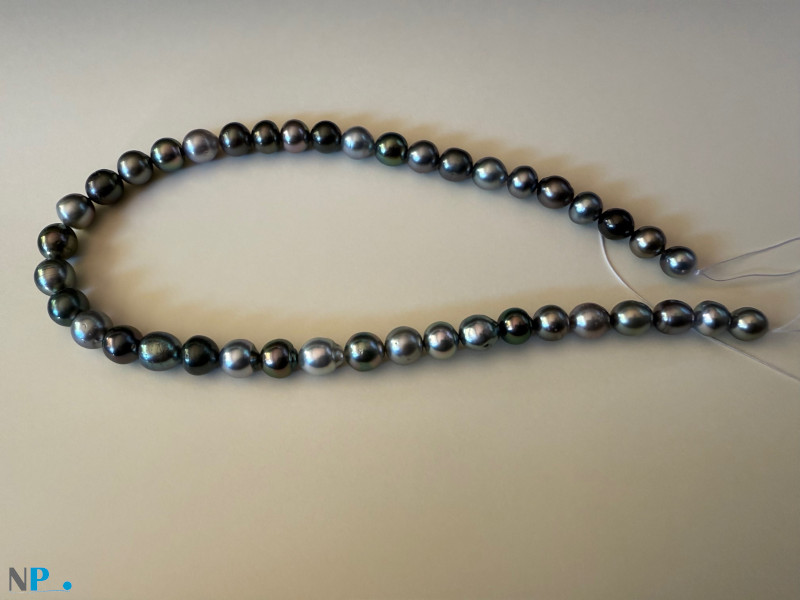 Collier de perles de Tahiti Collier de perles de Tahiti, perles authentiques du pacifique