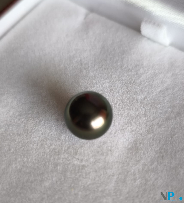 Perle de Tahti qualité AAA reflets cuivre Perle de Tahti qualité AAA reflets cuivre