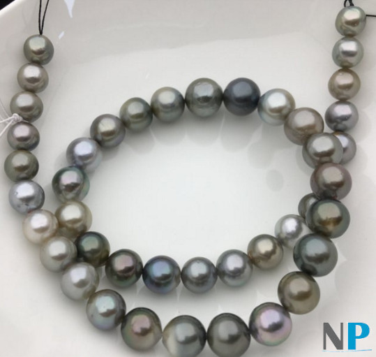 Collier de perles de Tahiti multicolores claires très rares