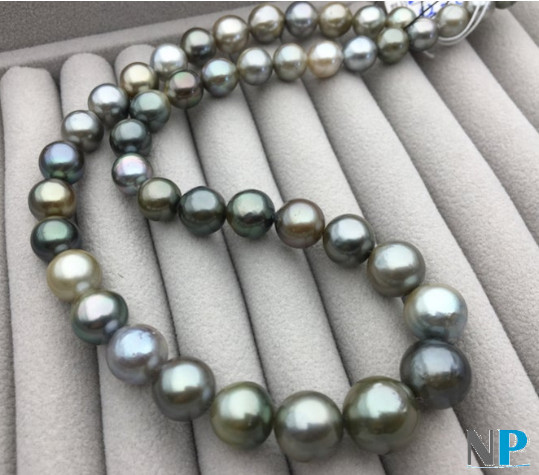 collier de vraies perles noires de tahiti de formes presque rondes, couleurs variées claires gris/vert