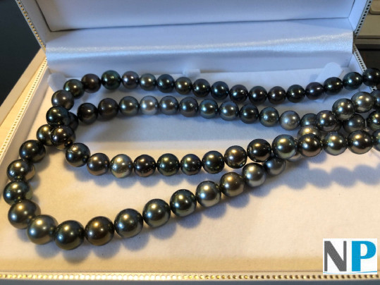 collier de vraies perles noires de tahiti , couleurs variées