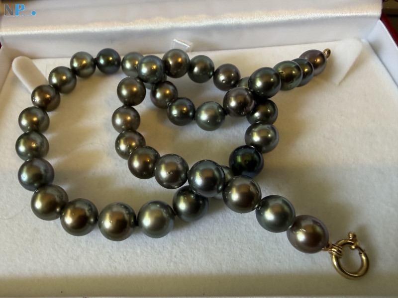 Collier de perles noires de Tahiti