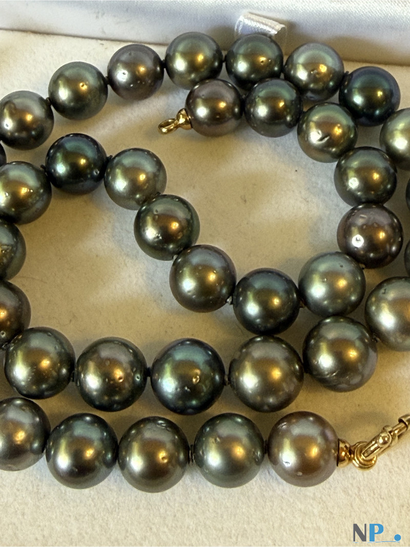 Collier de perles noires de Tahiti