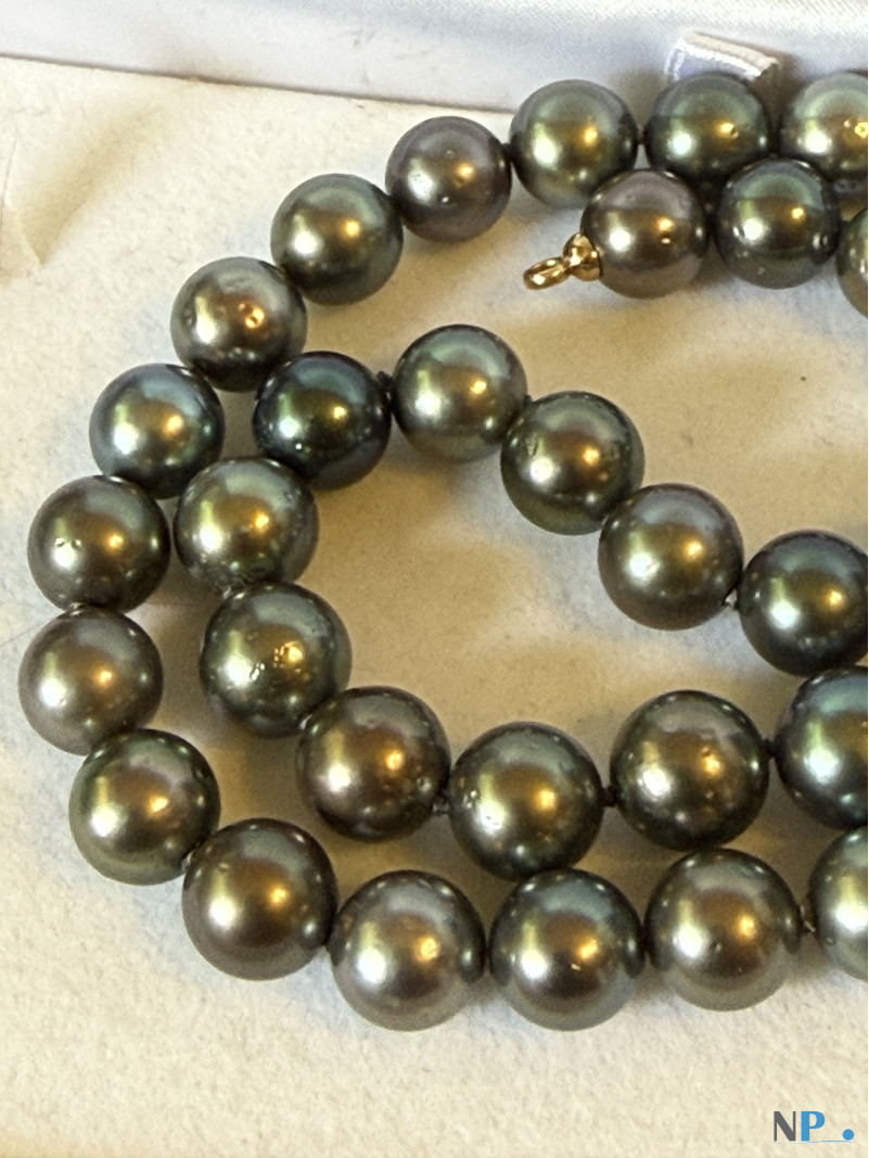 Collier de perles noires de Tahiti