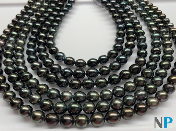 Collier de perles de Tahiti foncées presque rondes