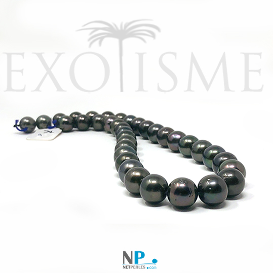 Collier de perles noires de Tahiti, bien rondes, lustre intense, dimensions 10,9 à 11,87 mm 