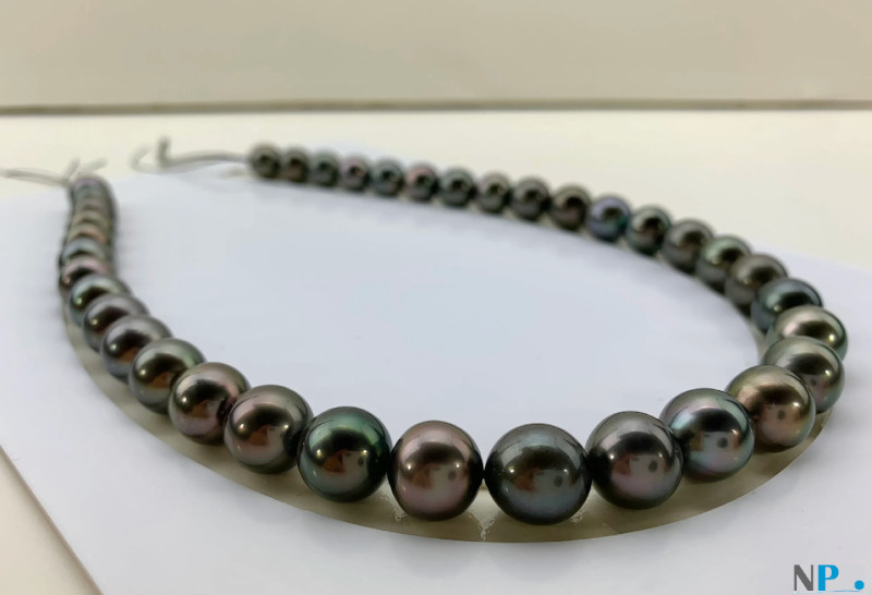 Collier de perles noires de tahiti, bien rondes qualité AAA