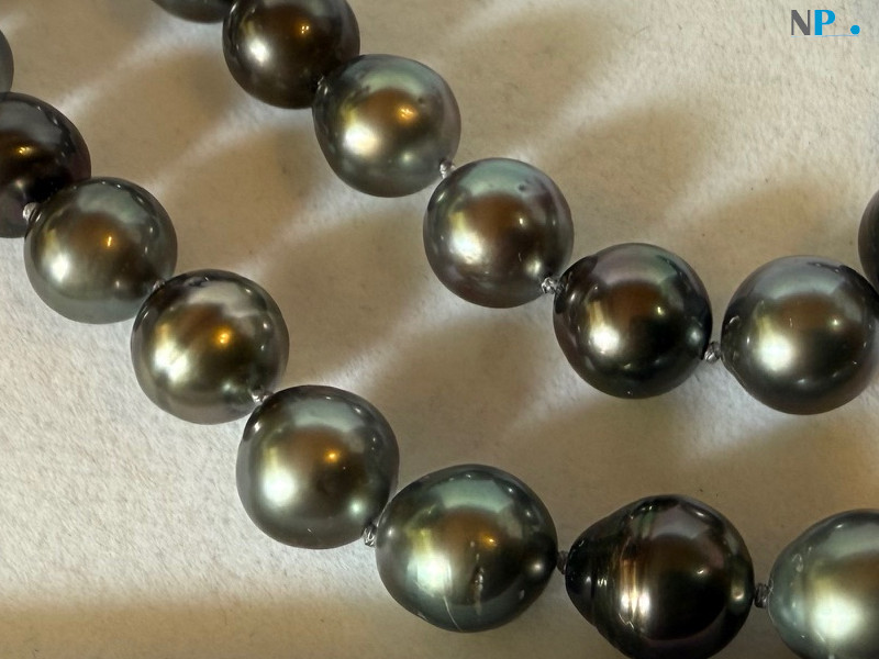 Collier de perles noires de Tahti