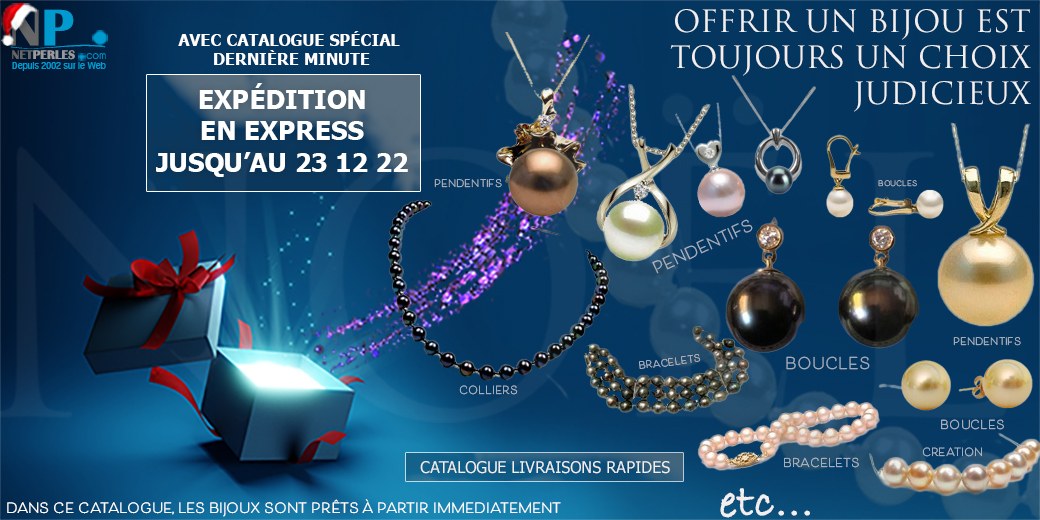 INFO LIVRAISON : DÉPARTS POSSIBLES JUSQU'AU 23 12 2022 AVEC CE CATALOGUE