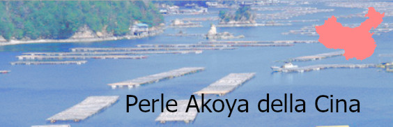 Perles akoya della Cina