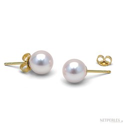 Boucles d'Oreilles Or 18k perles de culture d'Akoya blanches 7 à 7,5 mm