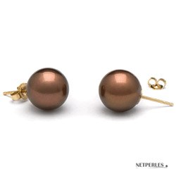 Boucles d'Oreilles Perles de Tahiti Chocolat 10-11 mm qualité AAA