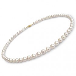 Collier 40 cm de perles Akoya 6,5 à 7 mm qualité AA+ ou AAA