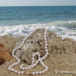 Collier de perles Akoya de 6,0 à 6,5 mm, longueur 55 cm