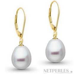 Boucles d'oreilles en Or 18k perles d'Australie Blanches Gouttes 10-11 mm AA+/AAA