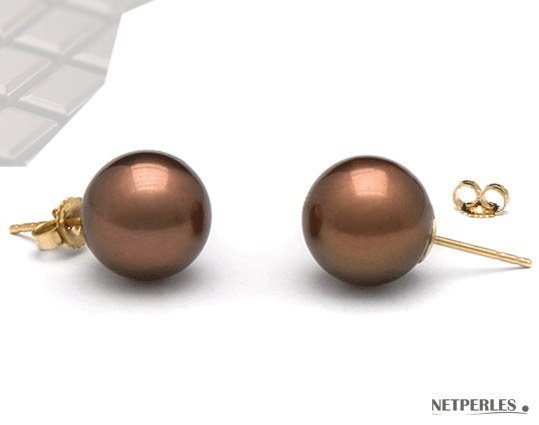 Boucles d'Oreilles Or 14k perles d'eau douce chocolat 9 à 10 mm AAA