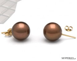 Boucles d'Oreilles Or 14k perles d'eau douce chocolat 9 à 10 mm AAA