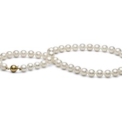 Collier 45 cm de perles de culture d'Eau Douce de 8-9 mm Blanches