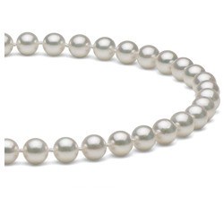 Collier 45 cm de perles Akoya blanches de 6,0 à 6,5 mm AAA