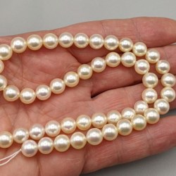 Collier 45 cm de perles Akoya Champagne de 8 à 8,5 mm AA+
