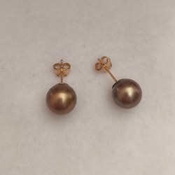 Boucles d'Oreilles Or 18k perles de Tahiti de 9 à 10 mm AAA chocolato doré
