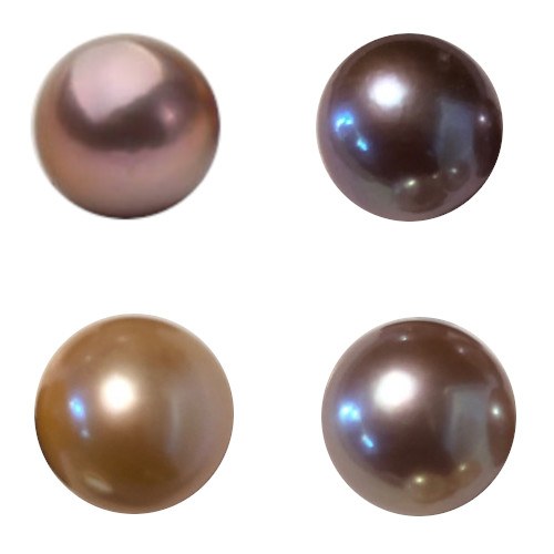 Perle Edison d'eau douce 11-12 mm semi-percée pour pendentif