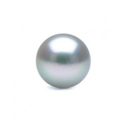 Perle de culture d'Akoya bleue argentée 7,5 à 8 mm AAA