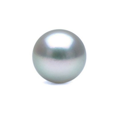 Perle de culture d'Akoya bleue argentée 8 à 8,5 mm AAA