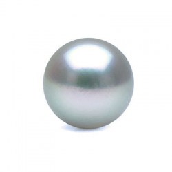 Perle de culture d'Akoya bleue argentée 9 à 9,5 mm AAA