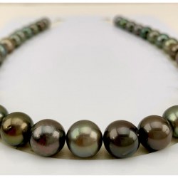 Collier de perles de Tahiti, perles de 10 à 12 mm, multireflets qualité AA/AA+ , 43/44 cm