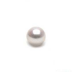 Perle de culture d'Akoya blanche 4,5 à 5,0 mm AA+ ou AAA