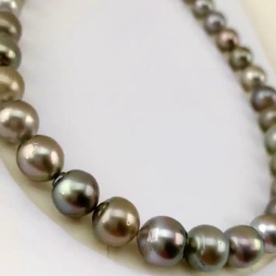Collier de perles de Tahiti presque rondes 11-12,6 mm Qualité AA/AA+ Longueur 43 cm