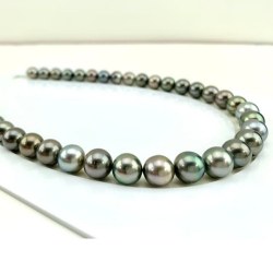 Collier 44 cm de perles de Tahiti de 10 à 12 mm multicolores qualité AA/AA+