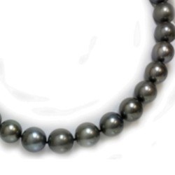 Collier 43 cm de perles de Tahiti rondes de 11 à 12 mm qualité AA 