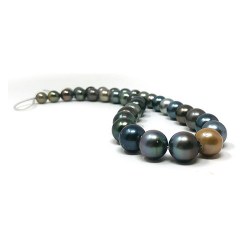 Collier de perles de Tahiti, 10,3 mm à 11,9 mm, AA/AA+
